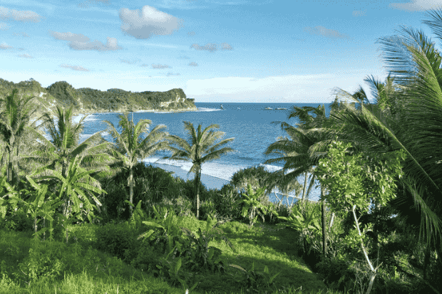 
Daya-Tarik-Tersembunyi-di-Sekitarnya.