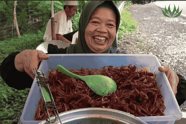 Tradisi di Gunungkidul