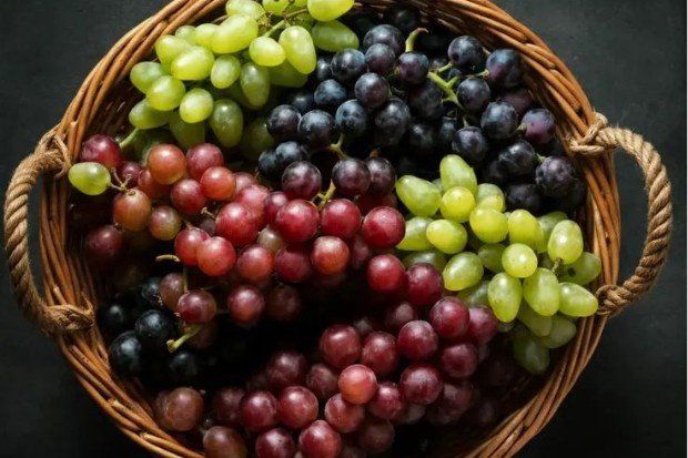 Anggur sebagai buah yang mendukung kesehatan tubuh
