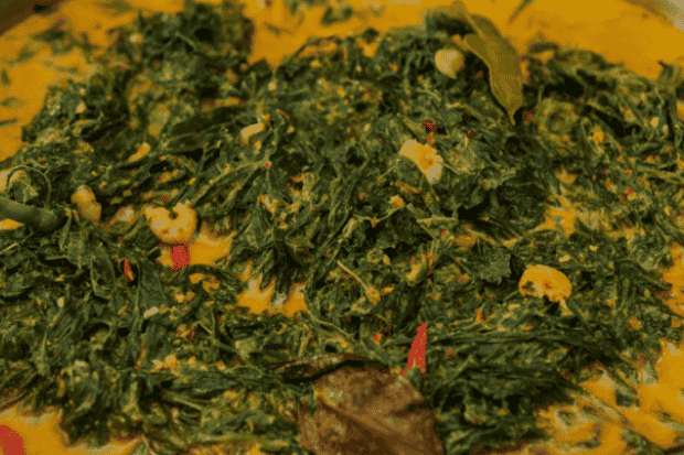 Resep dan Cara Memasak Daun Singkong yang Simpel dan Lezat