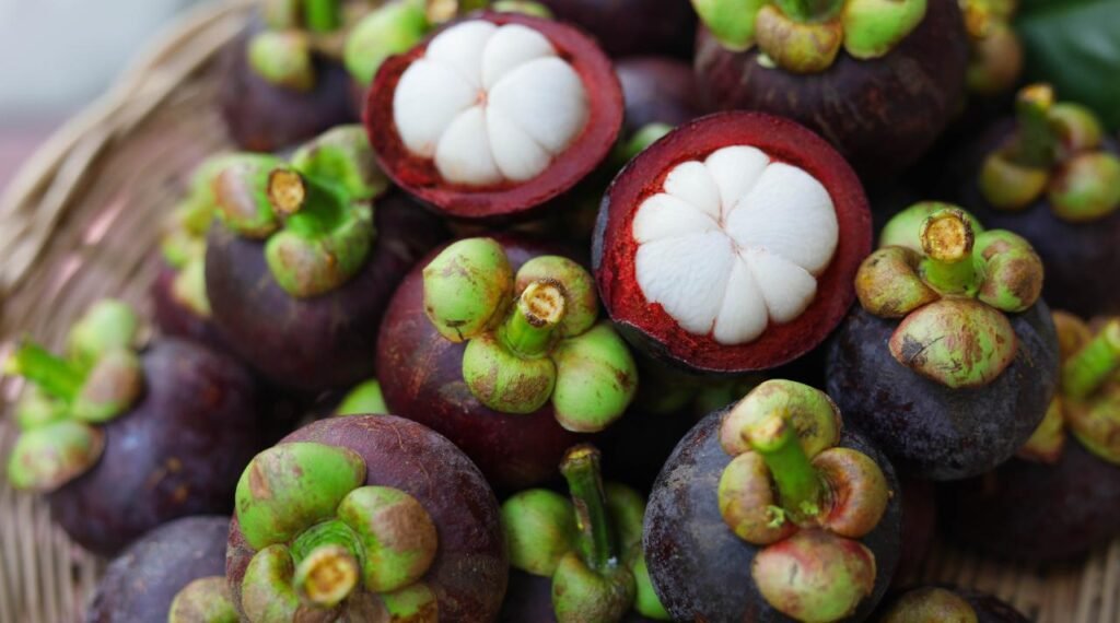 Kenapa Buah Manggis Beda dari Buah Lainnya?