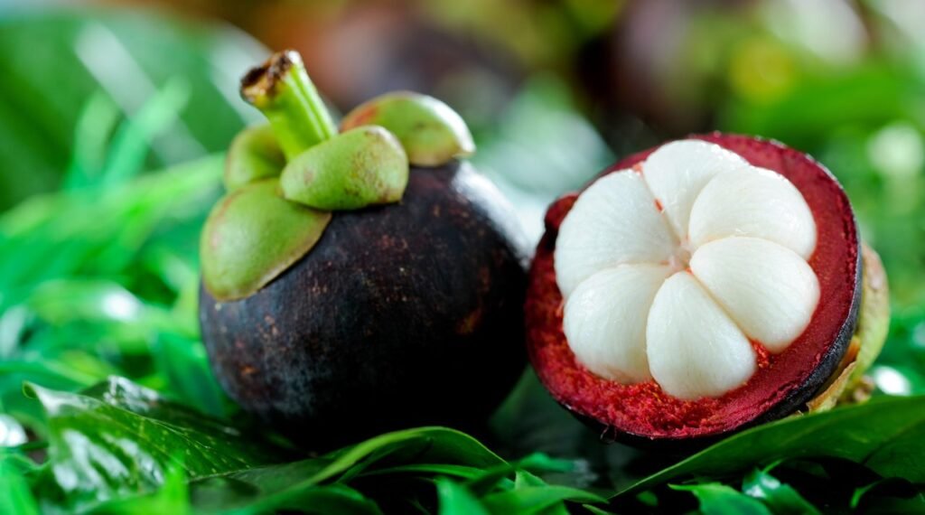 Manfaat Buah Manggis untuk Tubuh Kita