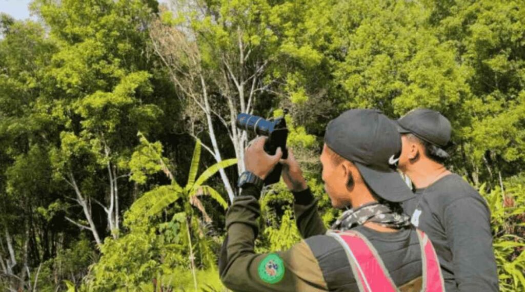 Pecinta Satwa Liar Indonesia dan Aksi Konservasinya