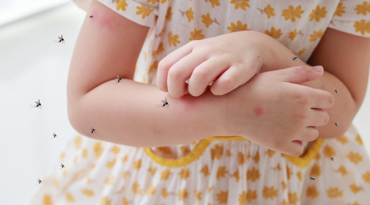 Waspada Demam Berdarah yang Meningkat Lagi di Indonesia