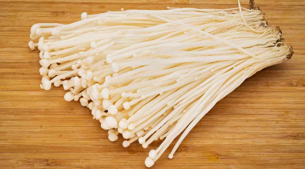 Jamur Enoki, Peluang Usaha yang Selalu Dicari Pasar