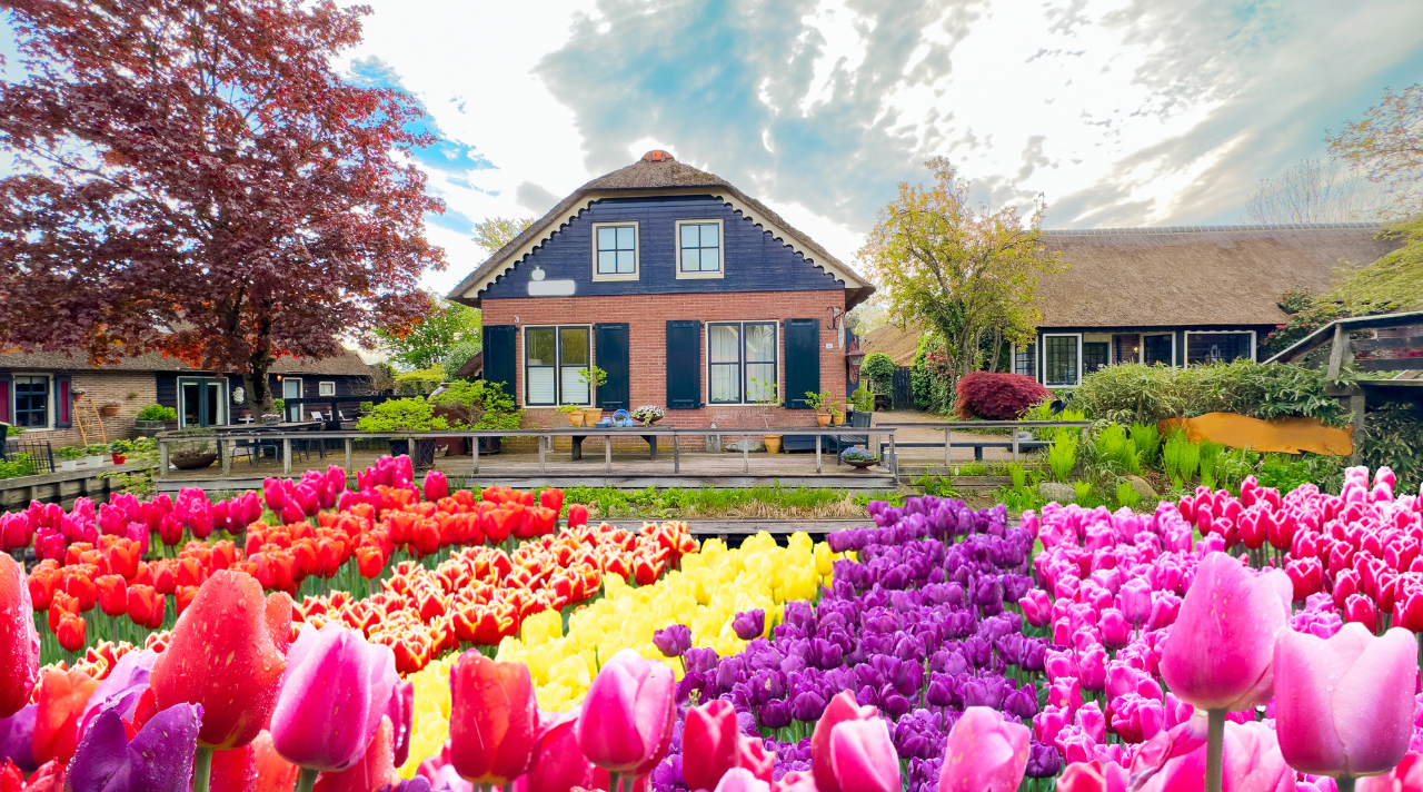Pesona Desa Tanpa Jalan Raya di Giethoorn, Belanda