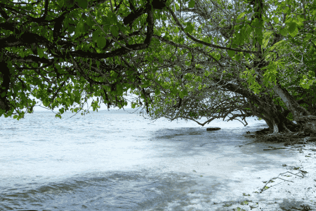 Ritme Pagi hingga Sore yang Selalu Berbeda