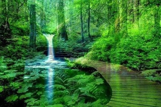 Dampak Positif Menjaga Lingkungan