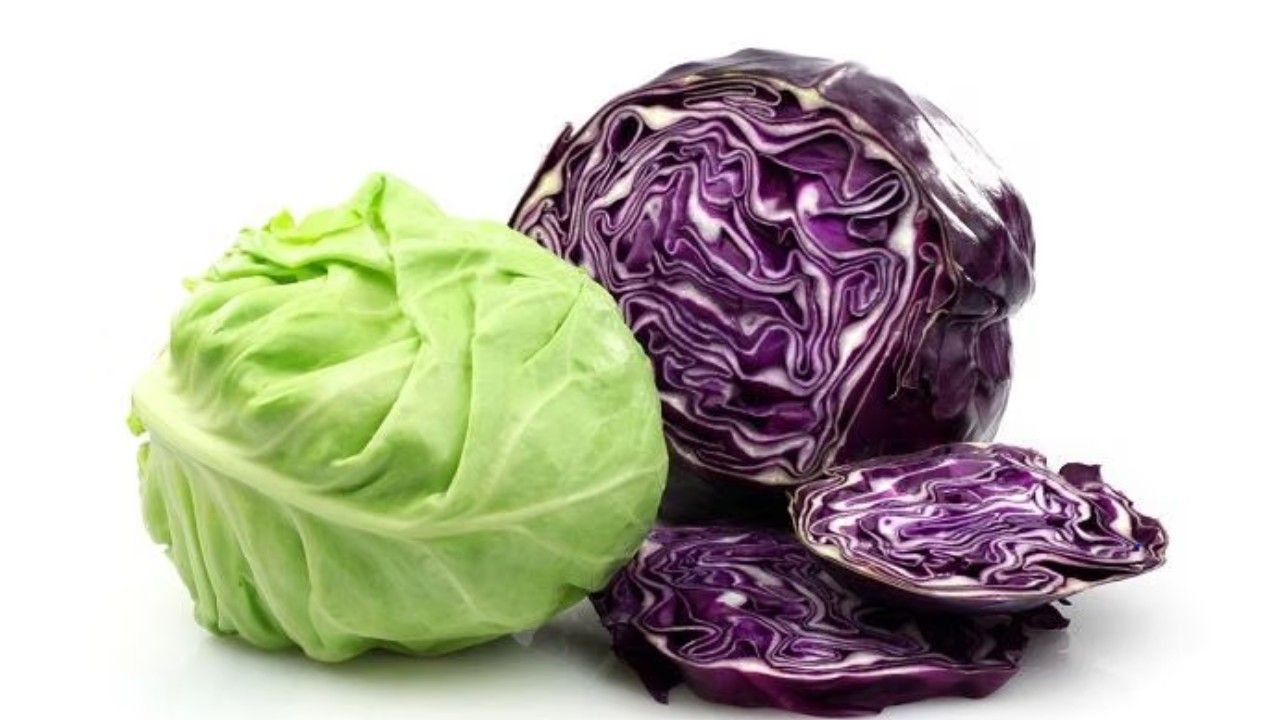 Mengenal Perbedaan Sayu Kol Hijau dan Kol Ungu