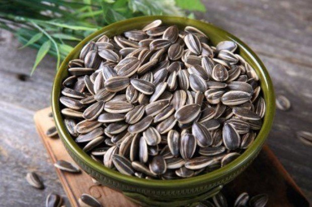 Kandungan Nutrisi Biji Bunga Matahari