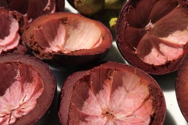 Kandungan Nutrisi Kulit Manggis
