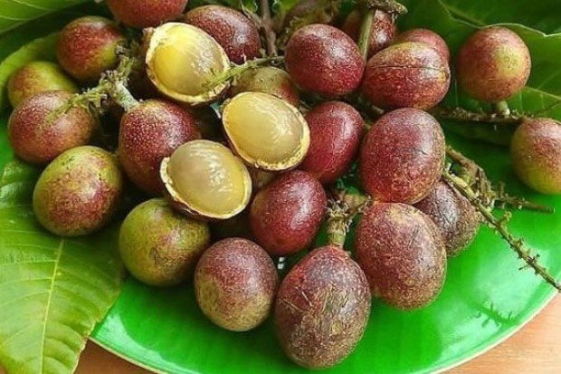 Manfaat Buah Matoa Untuk Kesehatan
