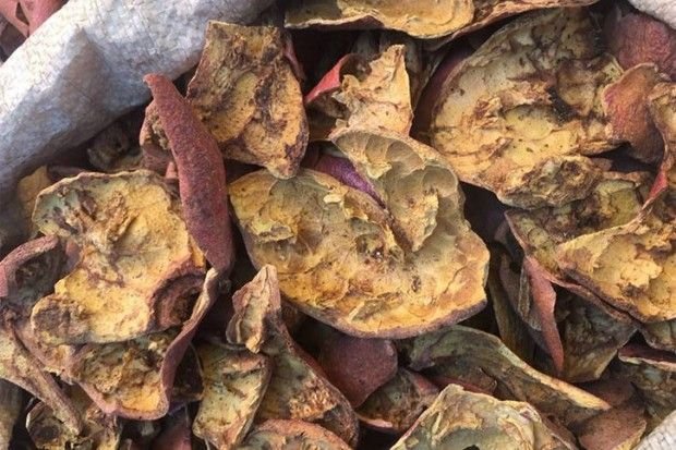 Manfaat Kulit Manggis untuk Kesehatan