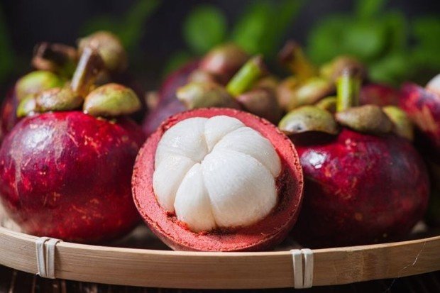 Kandungan Nutrisi dalam Buah Manggis