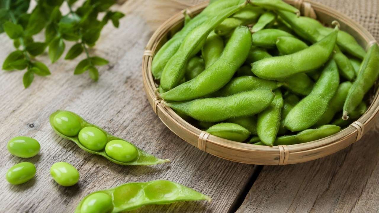 Edamame, Si Kacang Hijau Penuh Nutrisi untuk Gaya Hidup Sehat