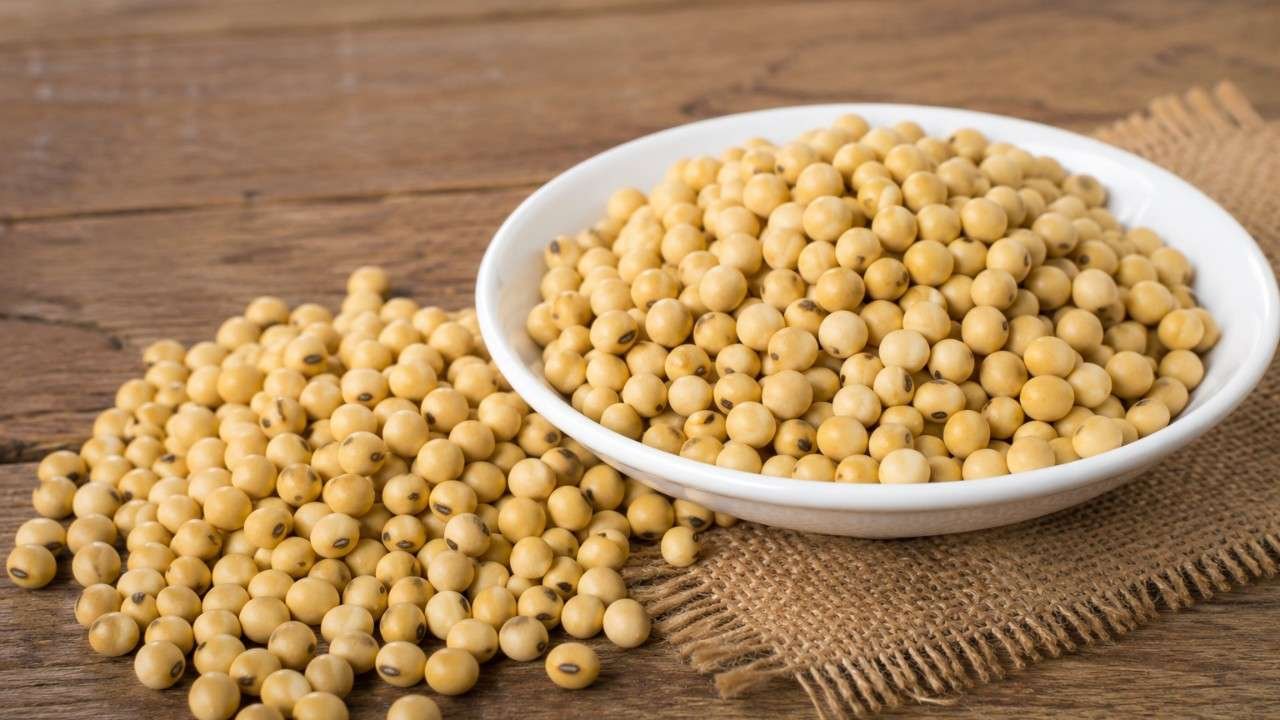 Kacang Kedelai, Sumber Protein Nabati yang Kaya Manfaat
