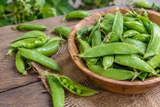 Kandungan Nutrisi yang Mendukung Kebutuhan Tubuh