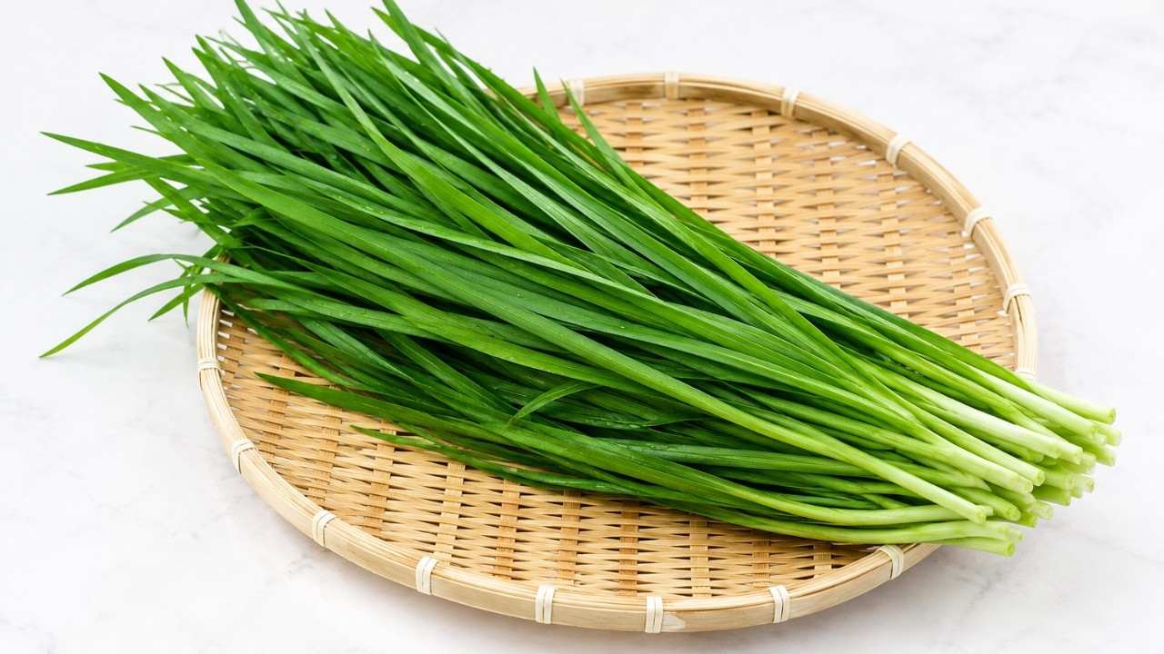 Kucai, Penambah Cita Rasa dan Nutrisi pada Masakan