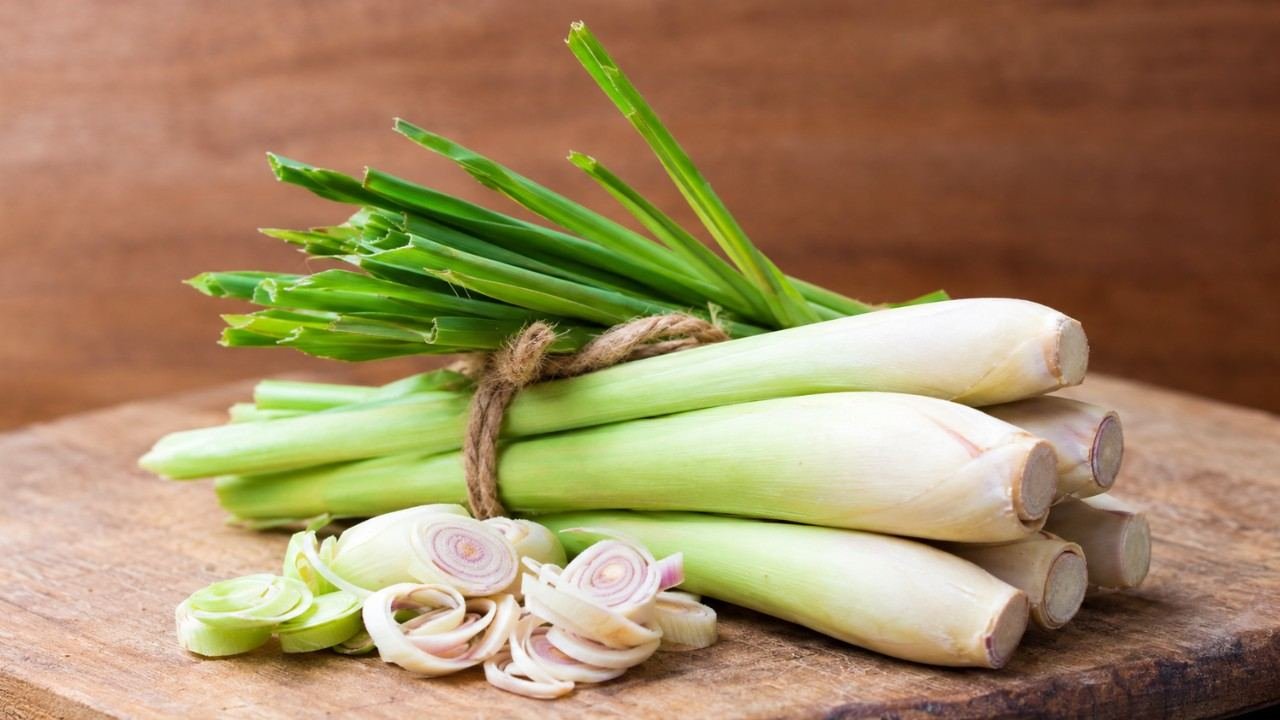 Sereh untuk Bumbu Masakan dan Minuman